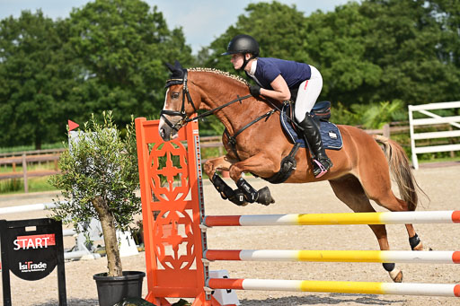 Klein Offenseth  - Hengststation Hell | 26072025 A Springen _206 