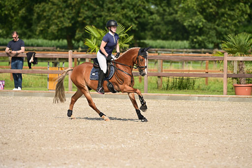 Klein Offenseth  - Hengststation Hell | 26072025 A Springen _207 