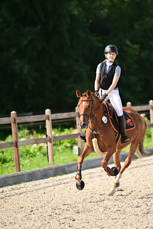 Klein Offenseth  - Hengststation Hell | 26072025 A Springen _214 