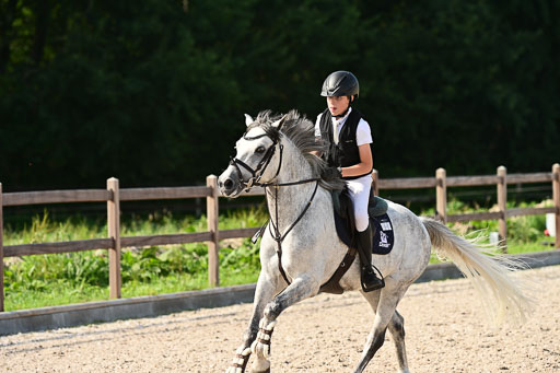 Klein Offenseth  - Hengststation Hell | 26072025 A Springen _219 