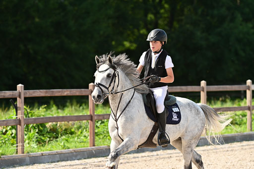 Klein Offenseth  - Hengststation Hell | 26072025 A Springen _220 