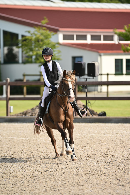 Klein Offenseth  - Hengststation Hell | 26072025 A Springen _228 