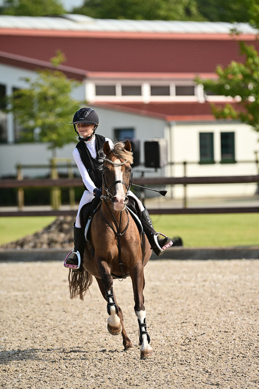 Klein Offenseth  - Hengststation Hell | 26072025 A Springen _229 