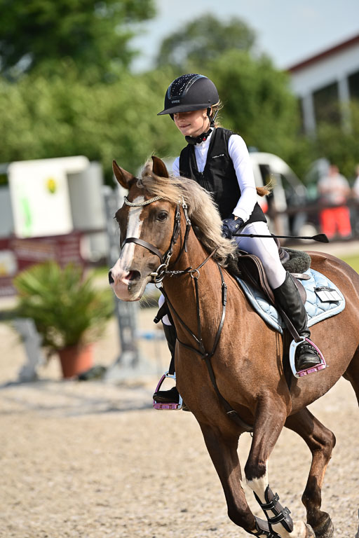 Klein Offenseth  - Hengststation Hell | 26072025 A Springen _232 