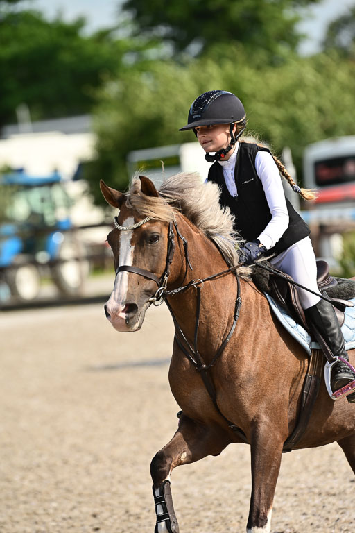 Klein Offenseth  - Hengststation Hell | 26072025 A Springen _233 