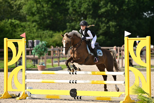 Klein Offenseth  - Hengststation Hell | 26072025 A Springen _237 