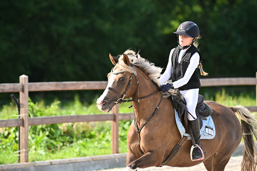 Klein Offenseth  - Hengststation Hell | 26072025 A Springen _239 