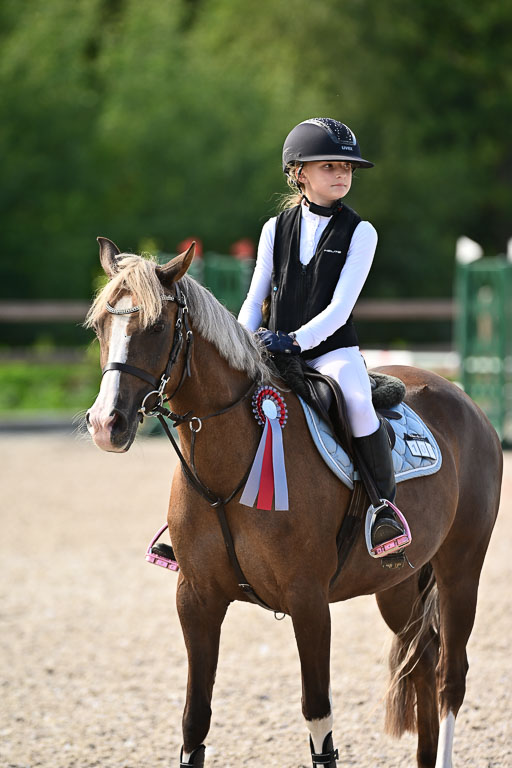 Klein Offenseth  - Hengststation Hell | 26072025 A Springen _252 