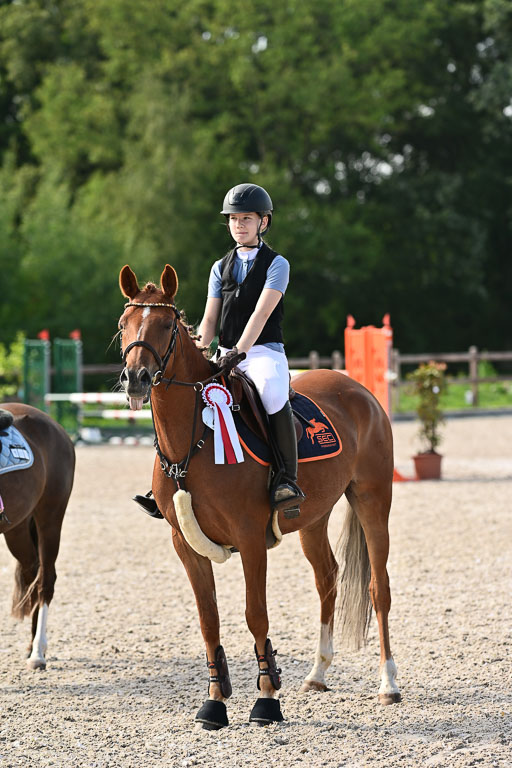 Klein Offenseth  - Hengststation Hell | 26072025 A Springen _253 