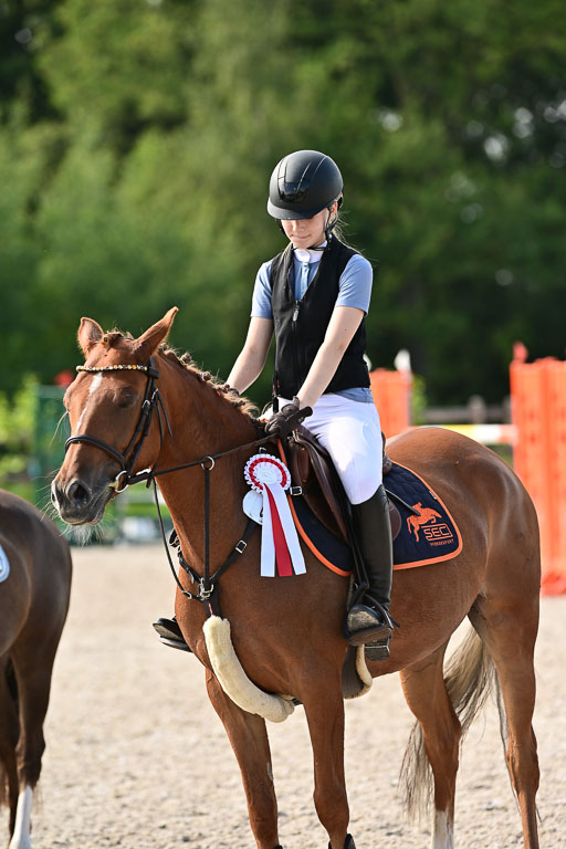 Klein Offenseth  - Hengststation Hell | 26072025 A Springen _254 