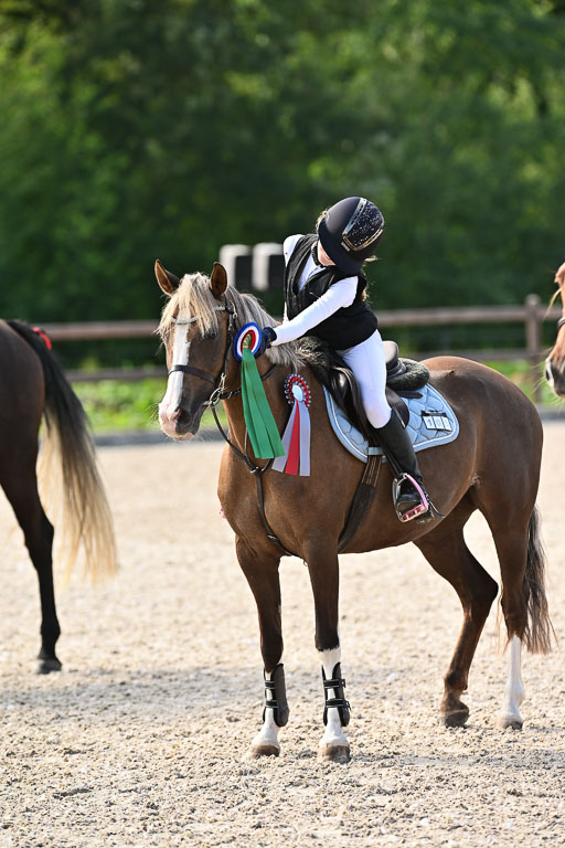 Klein Offenseth  - Hengststation Hell | 26072025 A Springen _258 