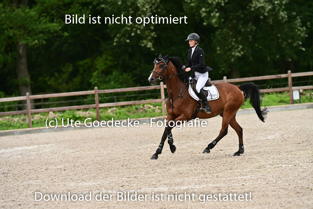 Klein Offenseth - Hengststation Hell | 26072025 L Springen _009