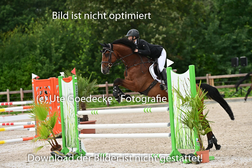 Klein Offenseth - Hengststation Hell | 26072025 L Springen _010