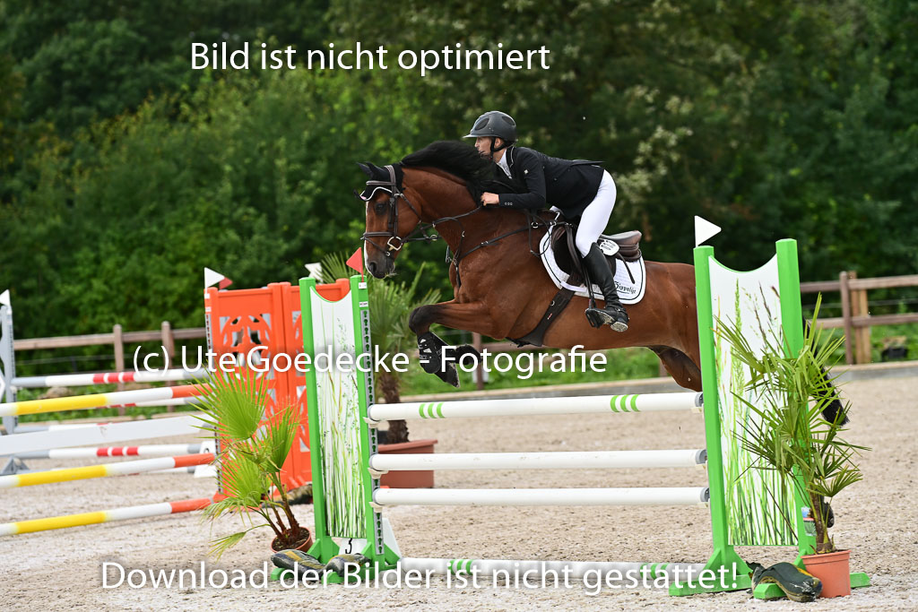 Klein Offenseth - Hengststation Hell | 26072025 L Springen _011