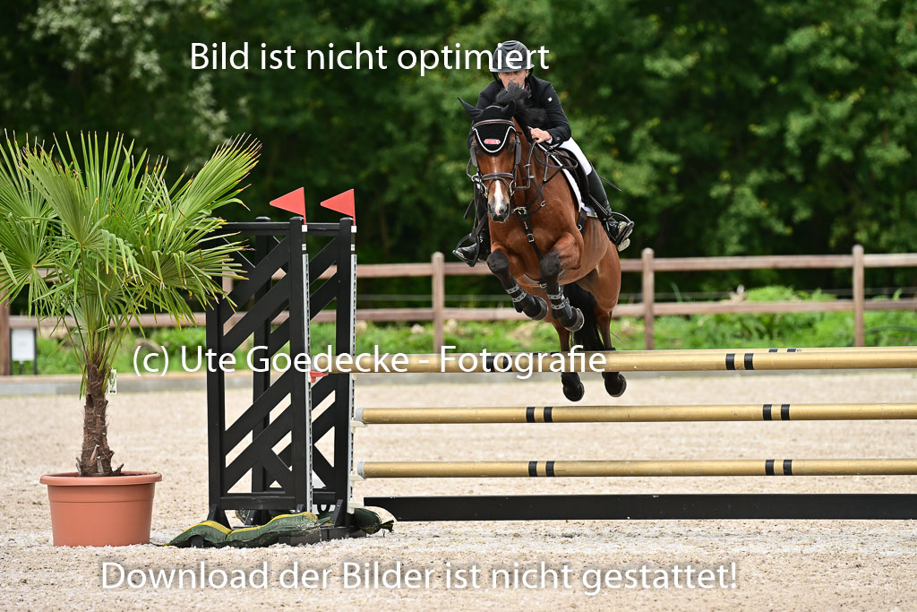 Klein Offenseth  - Hengststation Hell | 26072025 L Springen _015 