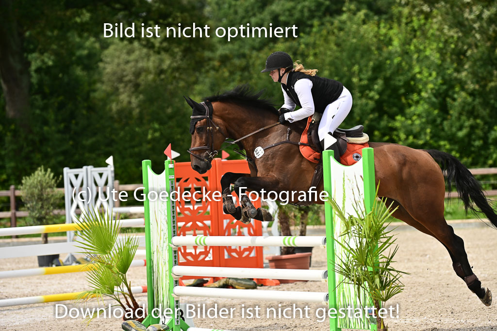 Klein Offenseth  - Hengststation Hell | 26072025 L Springen _018 