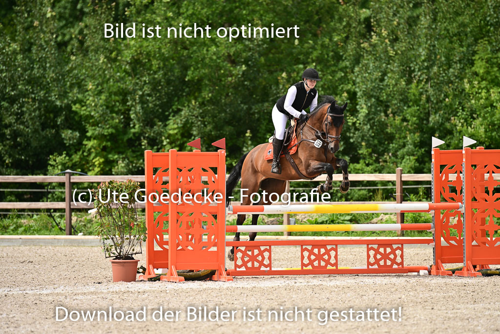 Klein Offenseth  - Hengststation Hell | 26072025 L Springen _019 
