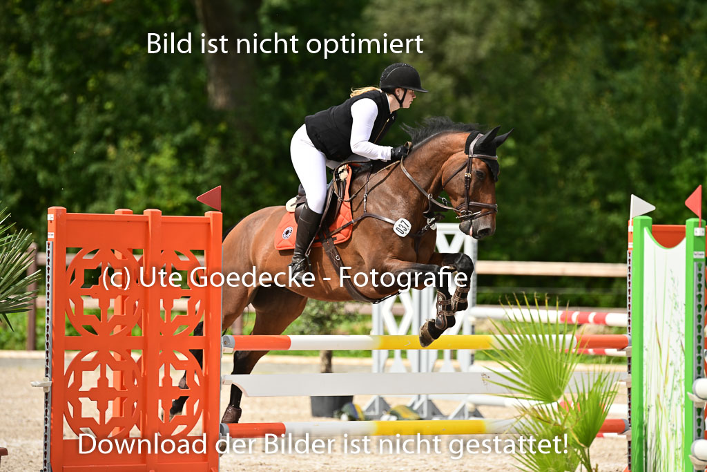 Klein Offenseth  - Hengststation Hell | 26072025 L Springen _020 