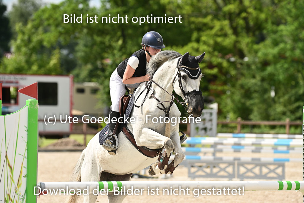 Klein Offenseth  - Hengststation Hell | 26072025 L Springen _023 