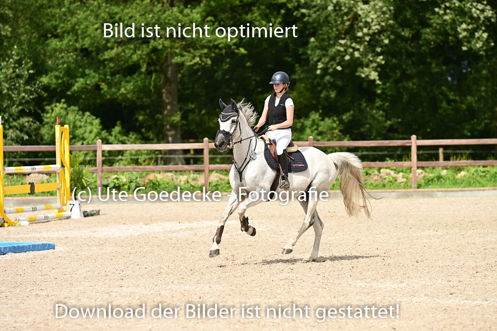 Klein Offenseth  - Hengststation Hell | 26072025 L Springen _024 