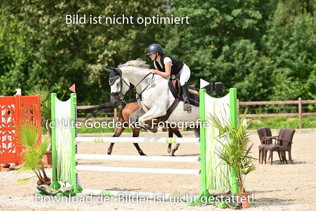 Klein Offenseth  - Hengststation Hell | 26072025 L Springen _025 