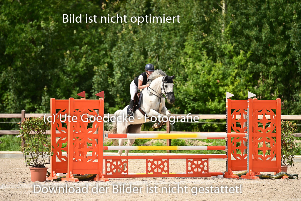Klein Offenseth - Hengststation Hell | 26072025 L Springen _026