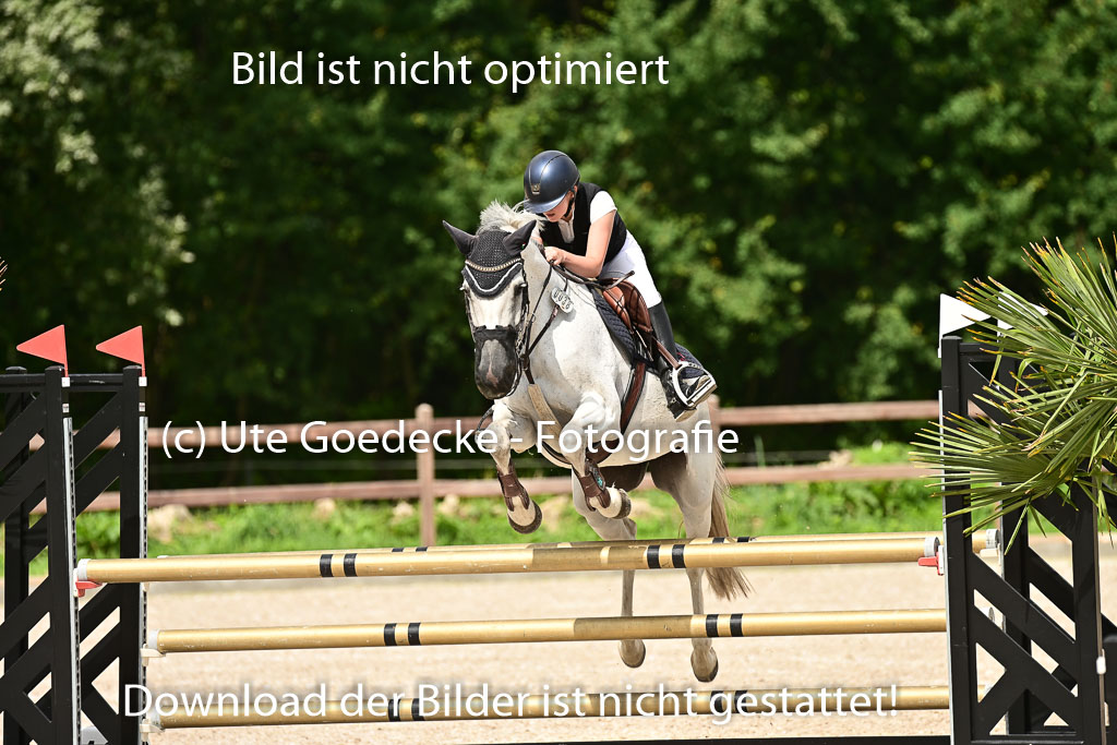Klein Offenseth  - Hengststation Hell | 26072025 L Springen _028 