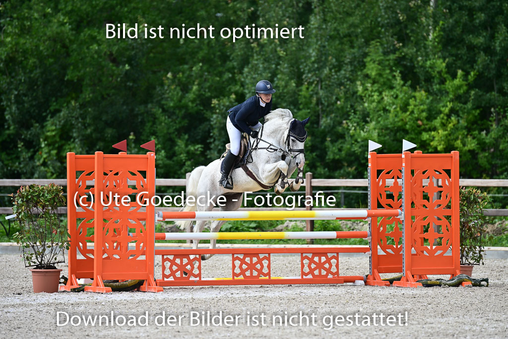 Klein Offenseth  - Hengststation Hell | 26072025 L Springen _029 