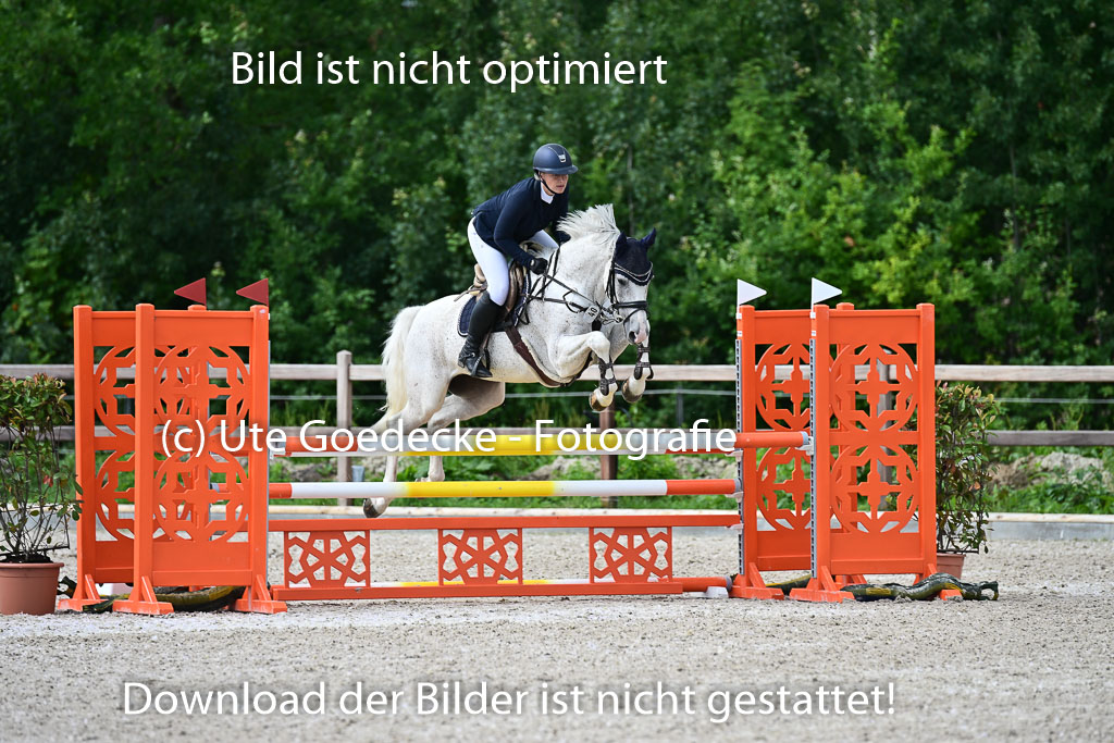 Klein Offenseth  - Hengststation Hell | 26072025 L Springen _030 