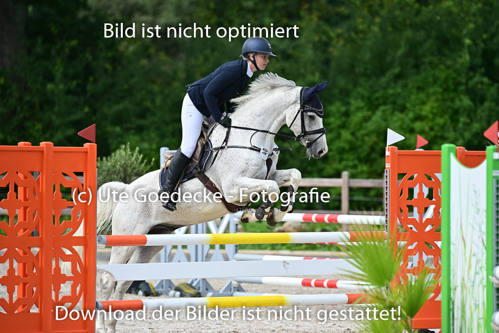 Klein Offenseth - Hengststation Hell | 26072025 L Springen _031