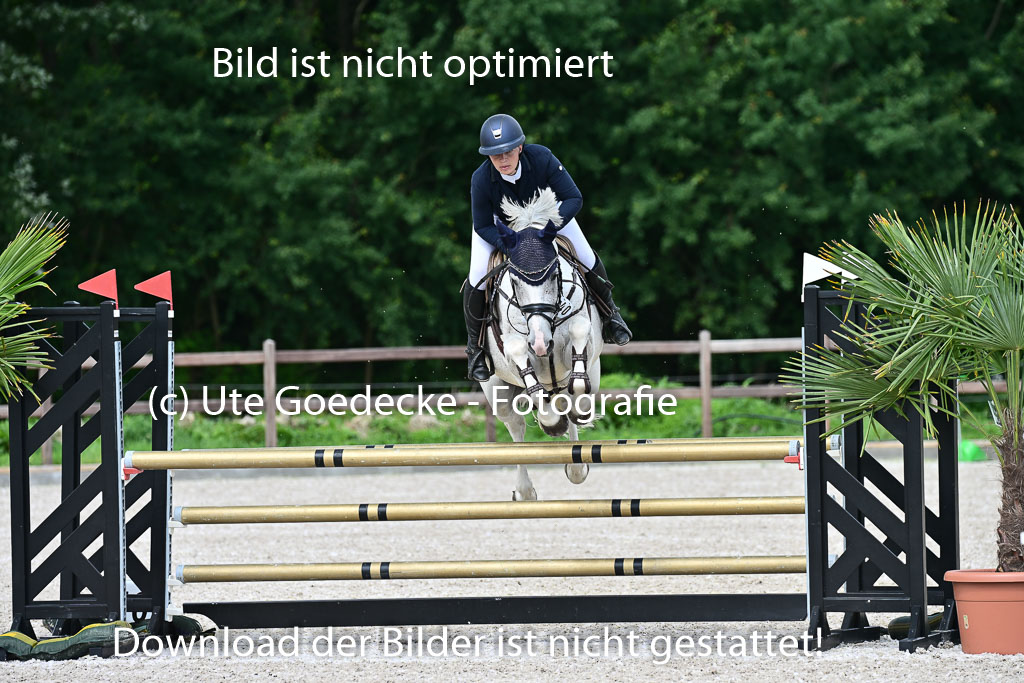 Klein Offenseth  - Hengststation Hell | 26072025 L Springen _035 