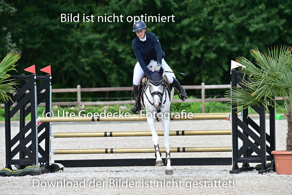 Klein Offenseth - Hengststation Hell | 26072025 L Springen _036