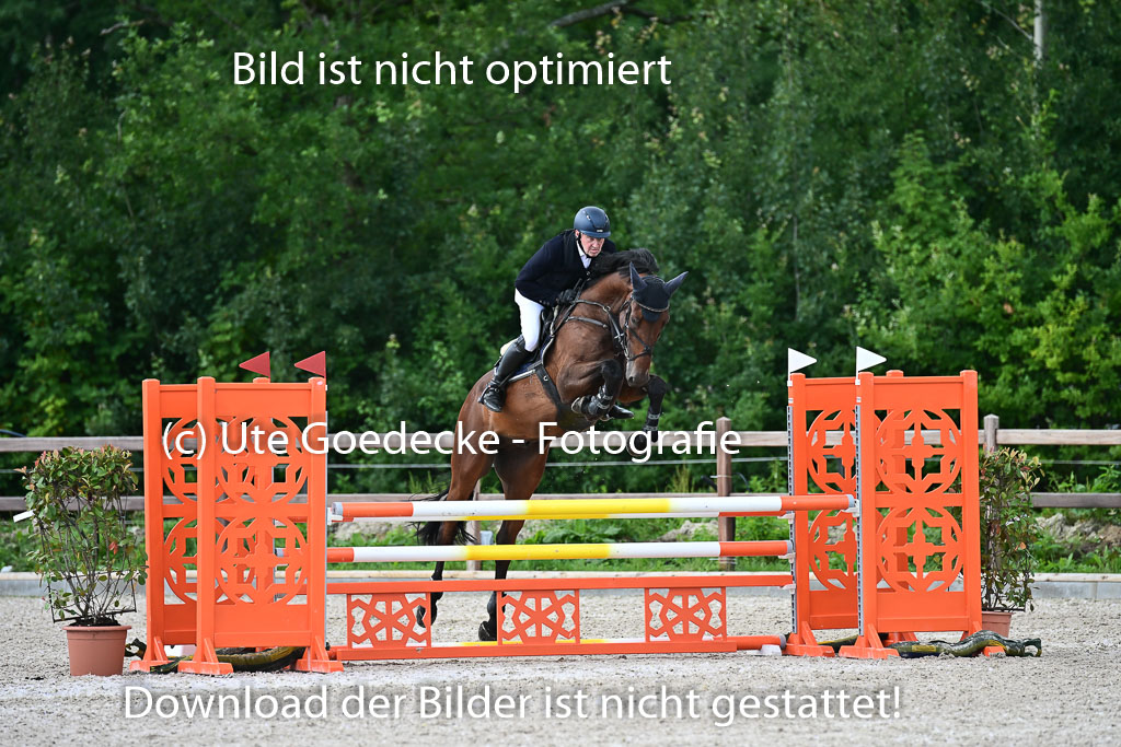 Klein Offenseth  - Hengststation Hell | 26072025 L Springen _038 