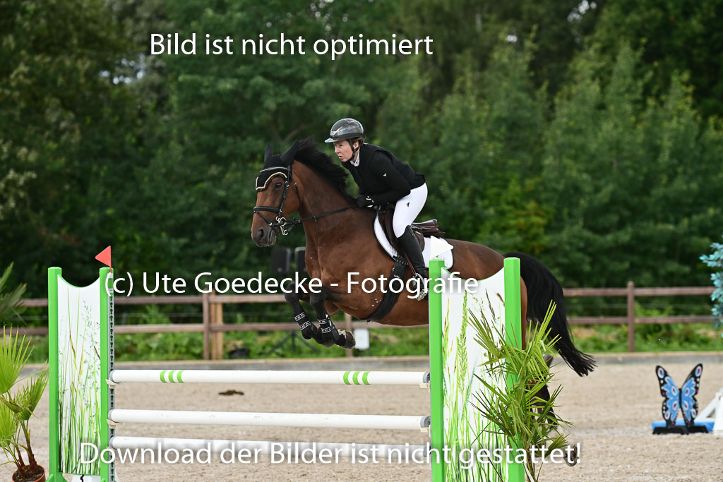 Klein Offenseth  - Hengststation Hell | 26072025 L Springen _042 