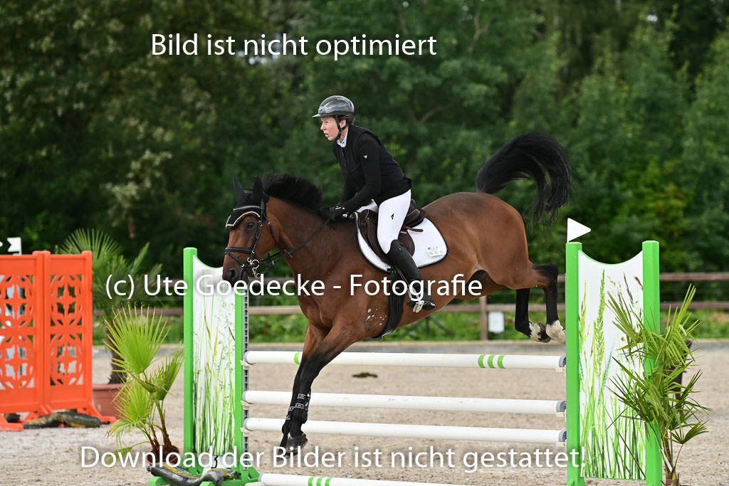 Klein Offenseth  - Hengststation Hell | 26072025 L Springen _043 