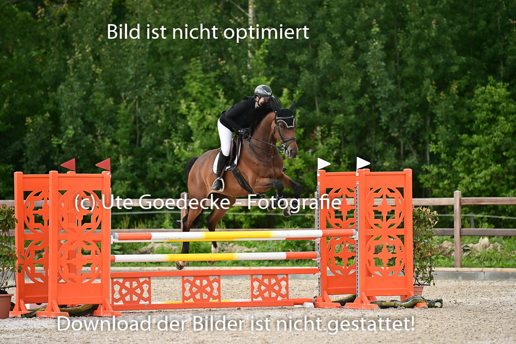 Klein Offenseth - Hengststation Hell | 26072025 L Springen _045