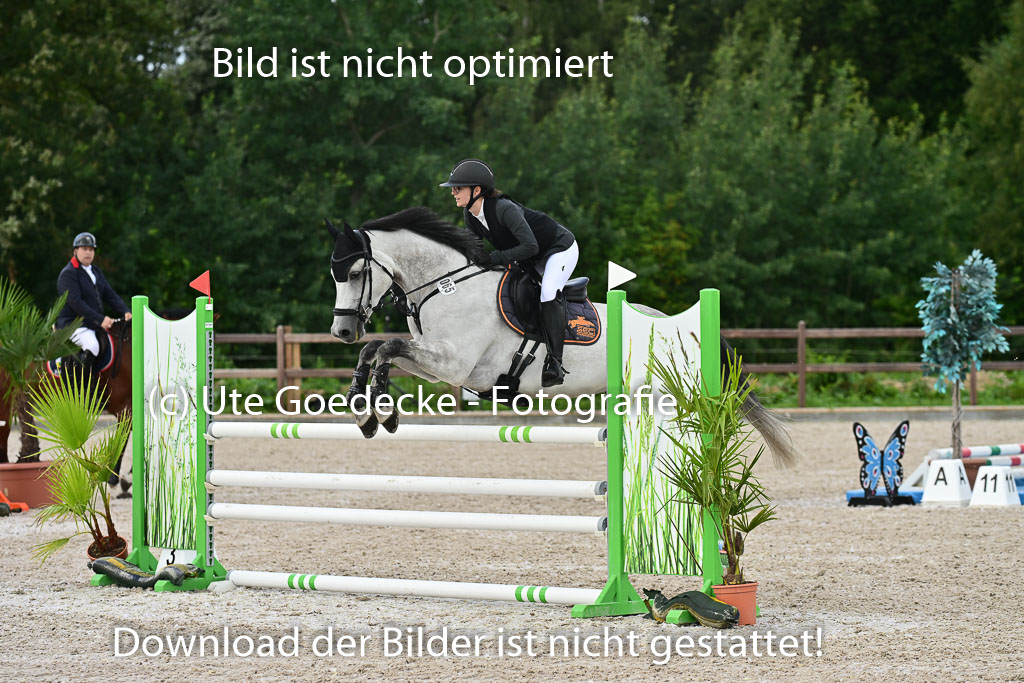 Klein Offenseth  - Hengststation Hell | 26072025 L Springen _053 