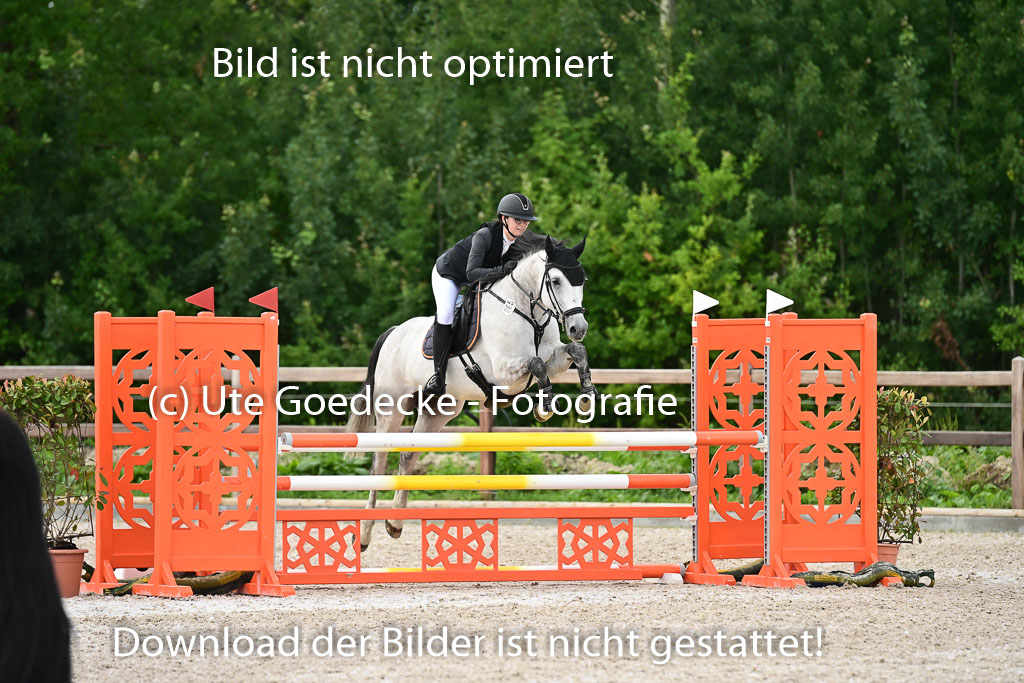 Klein Offenseth - Hengststation Hell | 26072025 L Springen _055