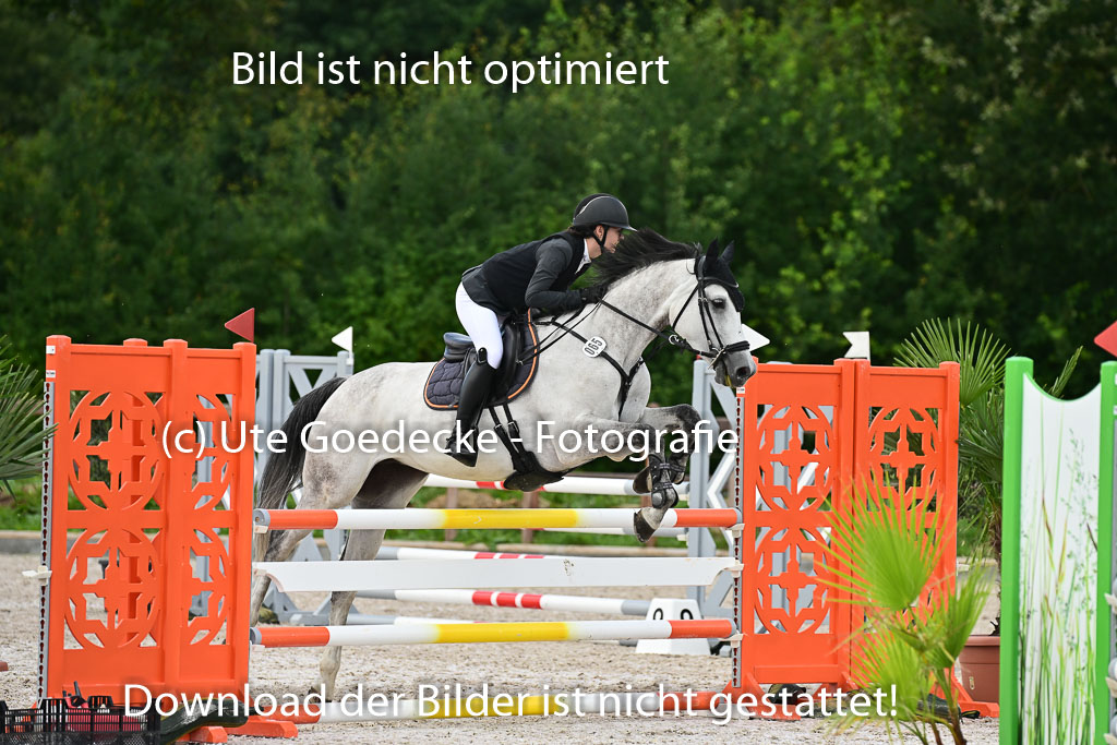Klein Offenseth  - Hengststation Hell | 26072025 L Springen _056 