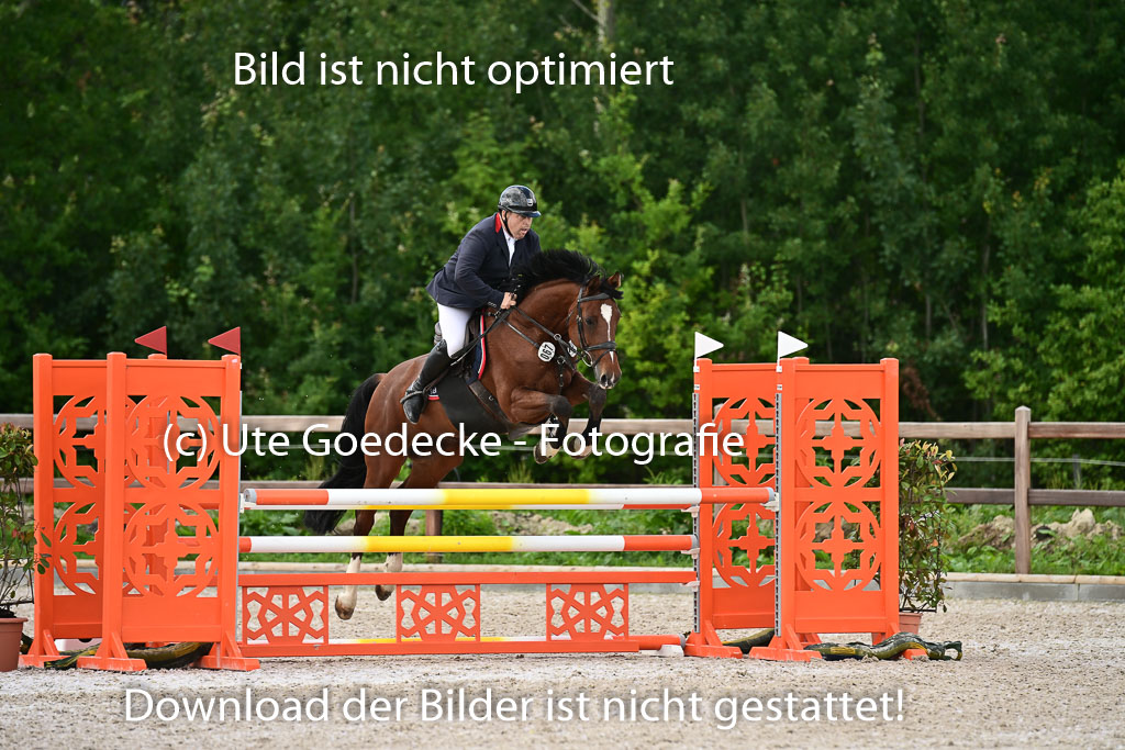 Klein Offenseth  - Hengststation Hell | 26072025 L Springen _061 