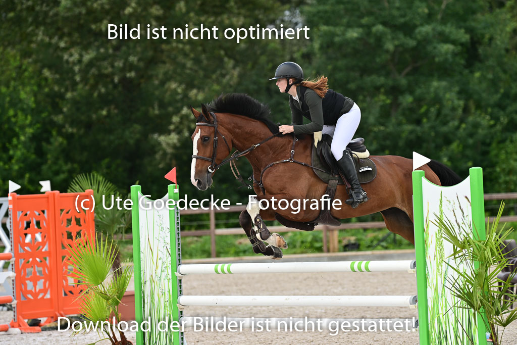 Klein Offenseth  - Hengststation Hell | 26072025 L Springen _067 