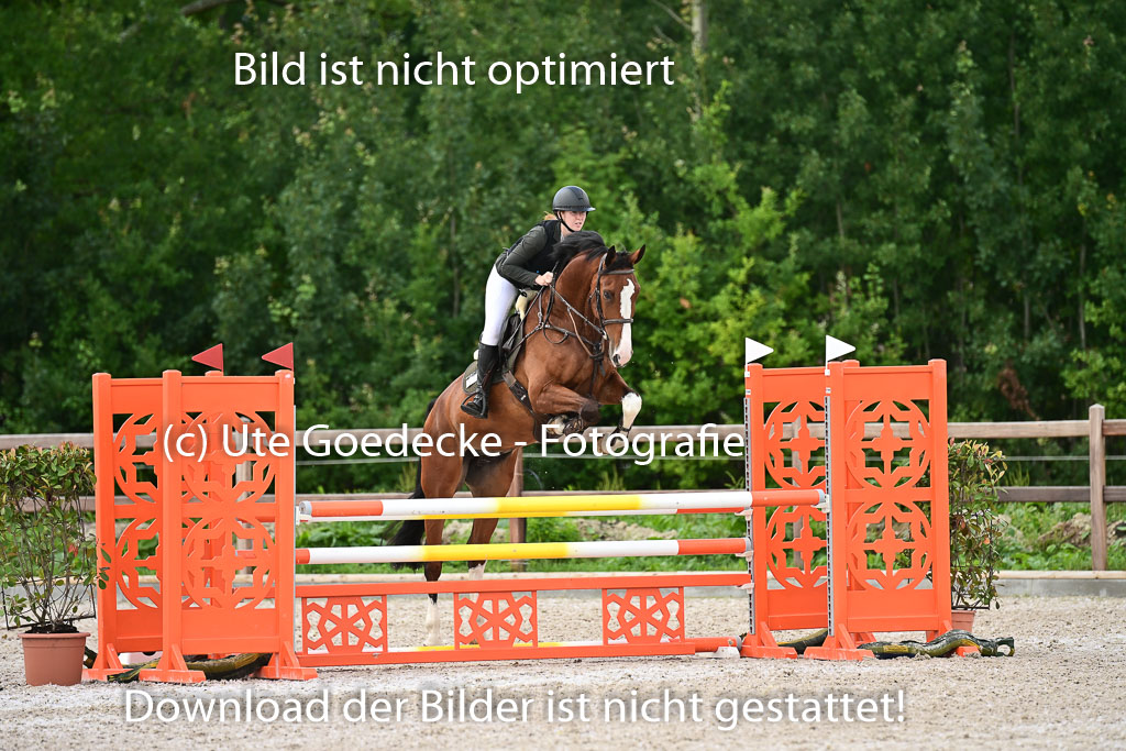 Klein Offenseth  - Hengststation Hell | 26072025 L Springen _068 