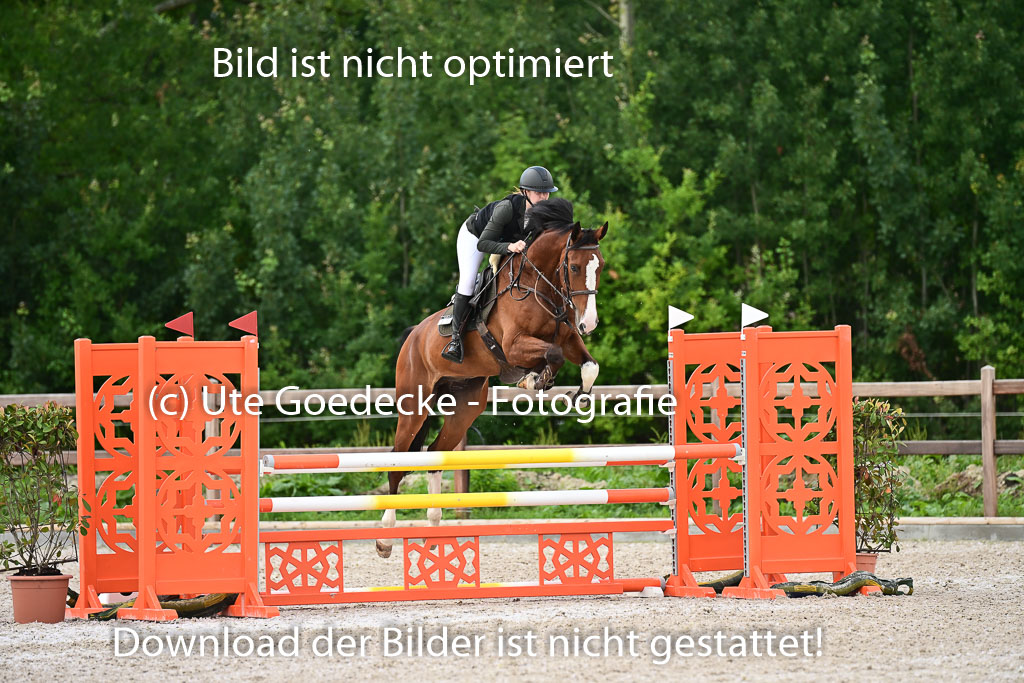 Klein Offenseth  - Hengststation Hell | 26072025 L Springen _069 