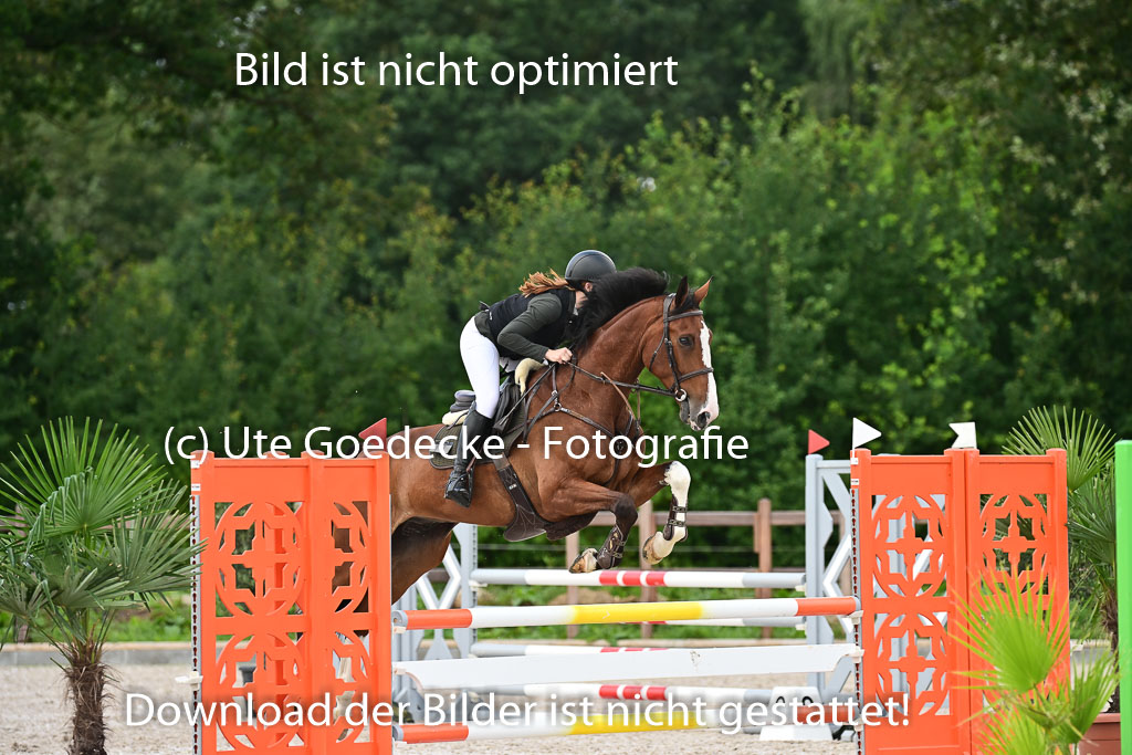 Klein Offenseth  - Hengststation Hell | 26072025 L Springen _070 