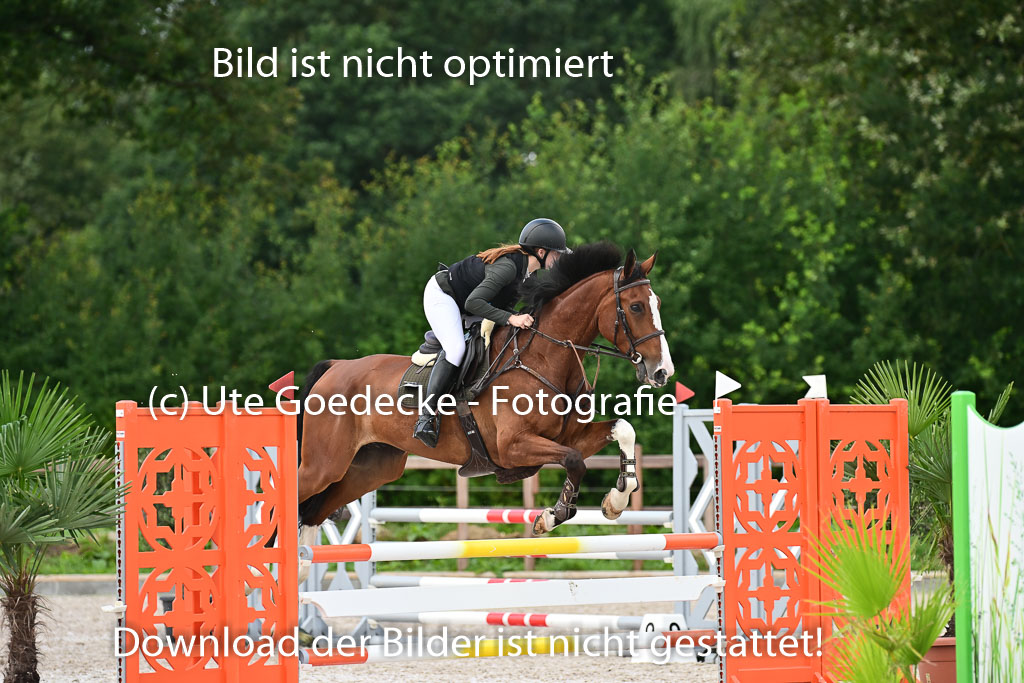 Klein Offenseth  - Hengststation Hell | 26072025 L Springen _071 