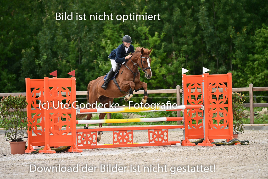 Klein Offenseth  - Hengststation Hell | 26072025 L Springen _077 