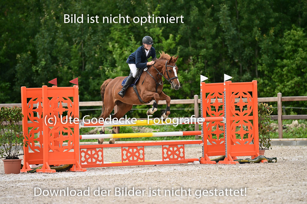 Klein Offenseth  - Hengststation Hell | 26072025 L Springen _078 