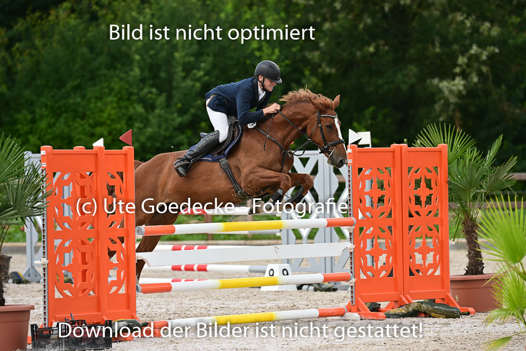 Klein Offenseth  - Hengststation Hell | 26072025 L Springen _079 