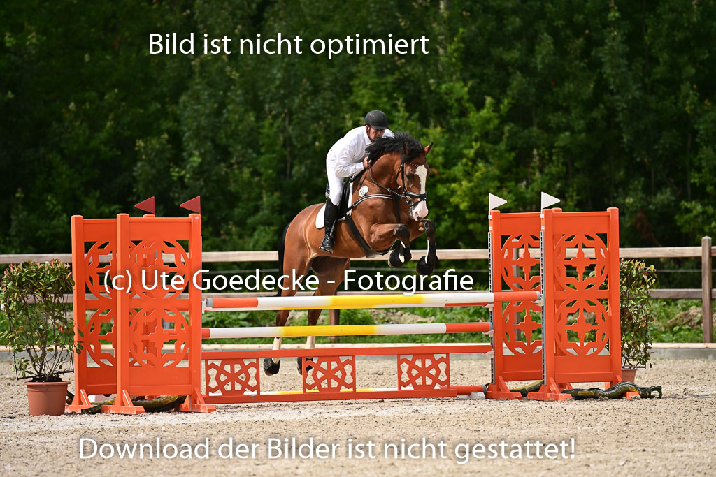 Klein Offenseth - Hengststation Hell | 26072025 L Springen _083