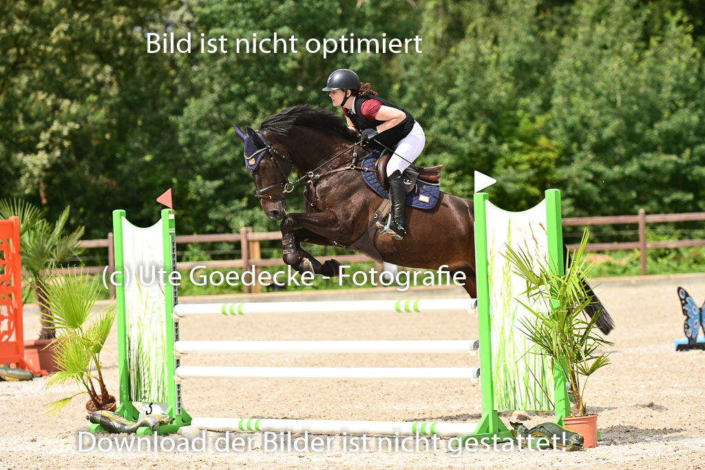 Klein Offenseth - Hengststation Hell | 26072025 L Springen _091